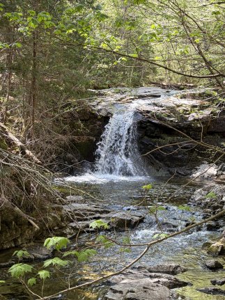 Gill Brook Falls #8